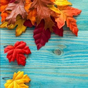 Meet your Posher, Annette